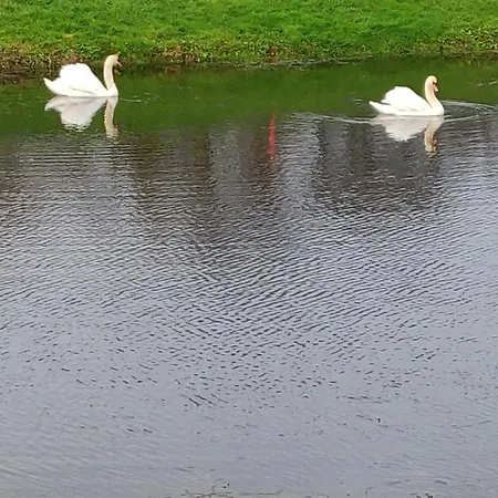 On Grounds Of Ballykisteen Golf * ティペラリー