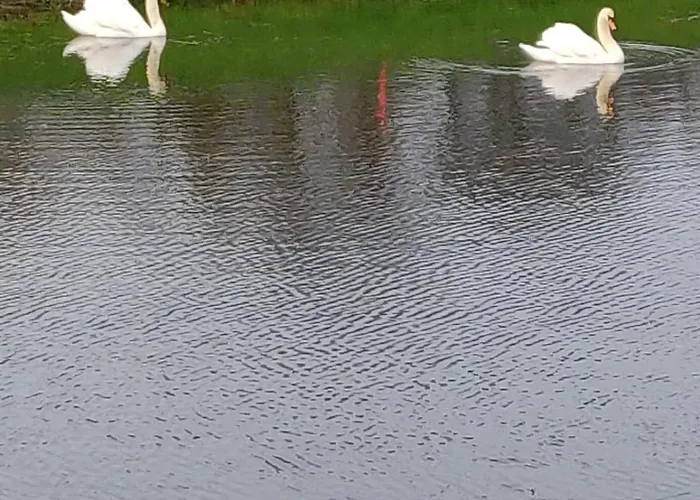 On Grounds Of Ballykisteen Golf * Tipperary